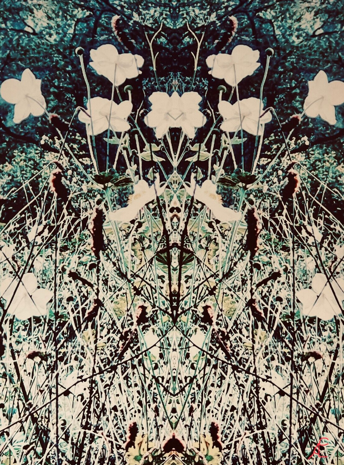 Herbstblumen Claudia Altemeier