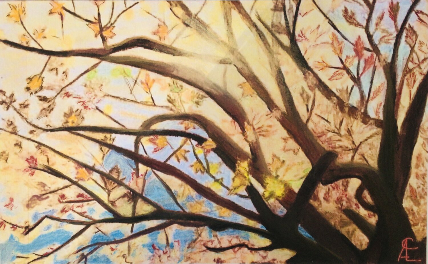 Herbstlicht II Claudia Altemeier