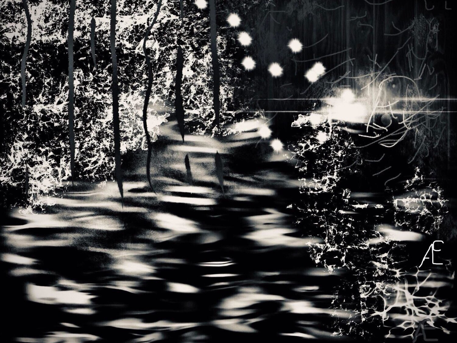 Light in the dark Claudia Altemeier