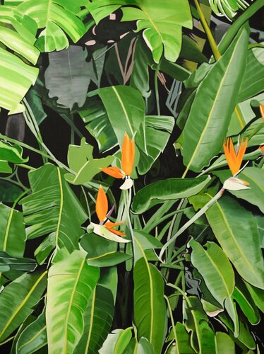 Bird of Paradise von Richard Higham, Malerei kaufen auf Singulart