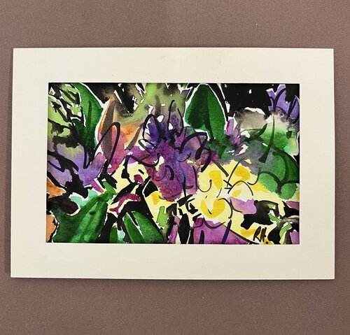 Freesia Flowers Richard Higham