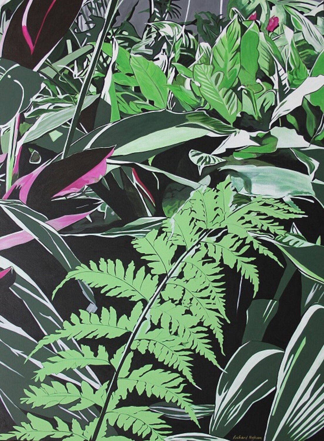 Cover me Gently - Tree Fern Richard Higham