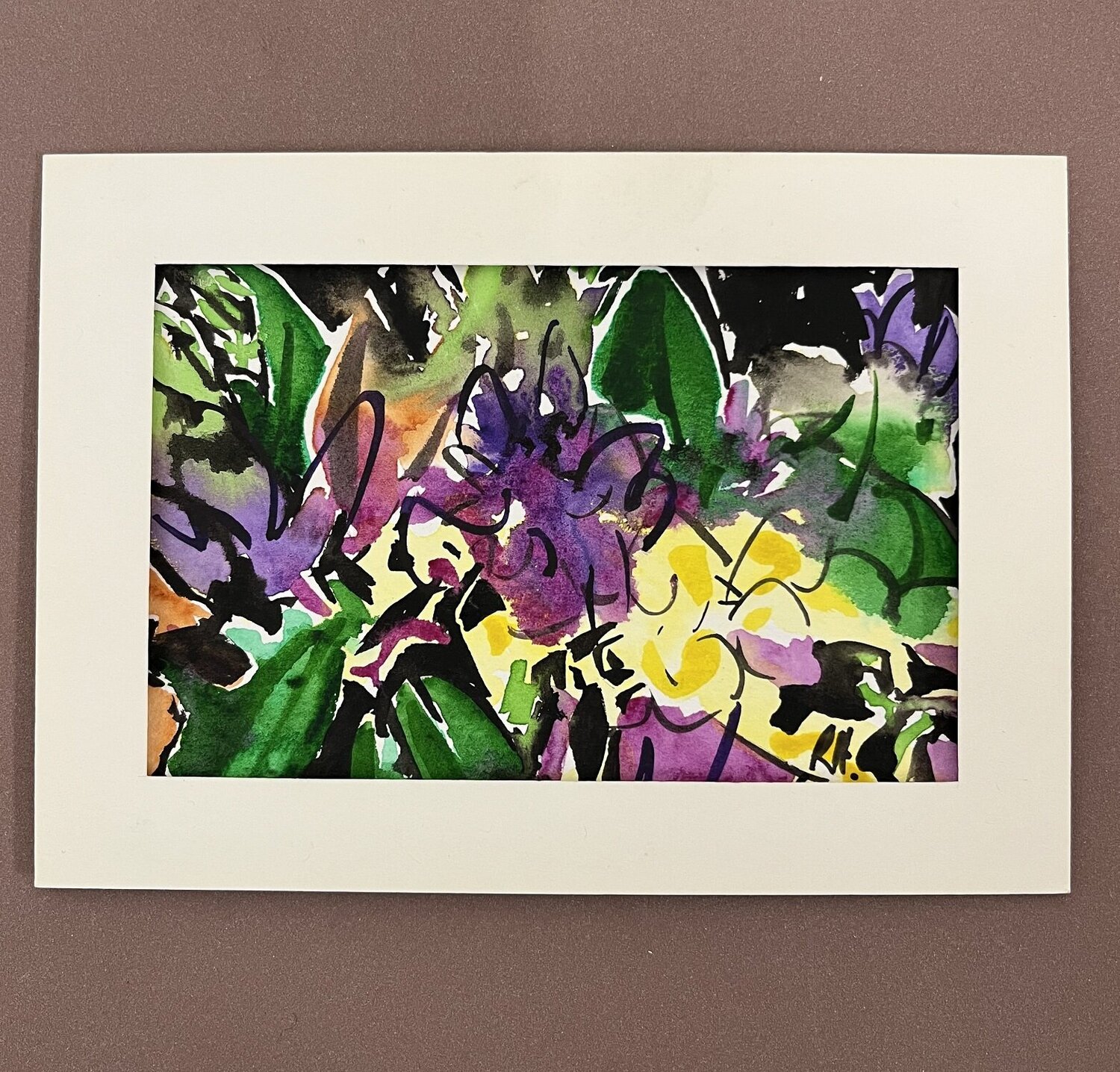 Freesia Flowers Richard Higham
