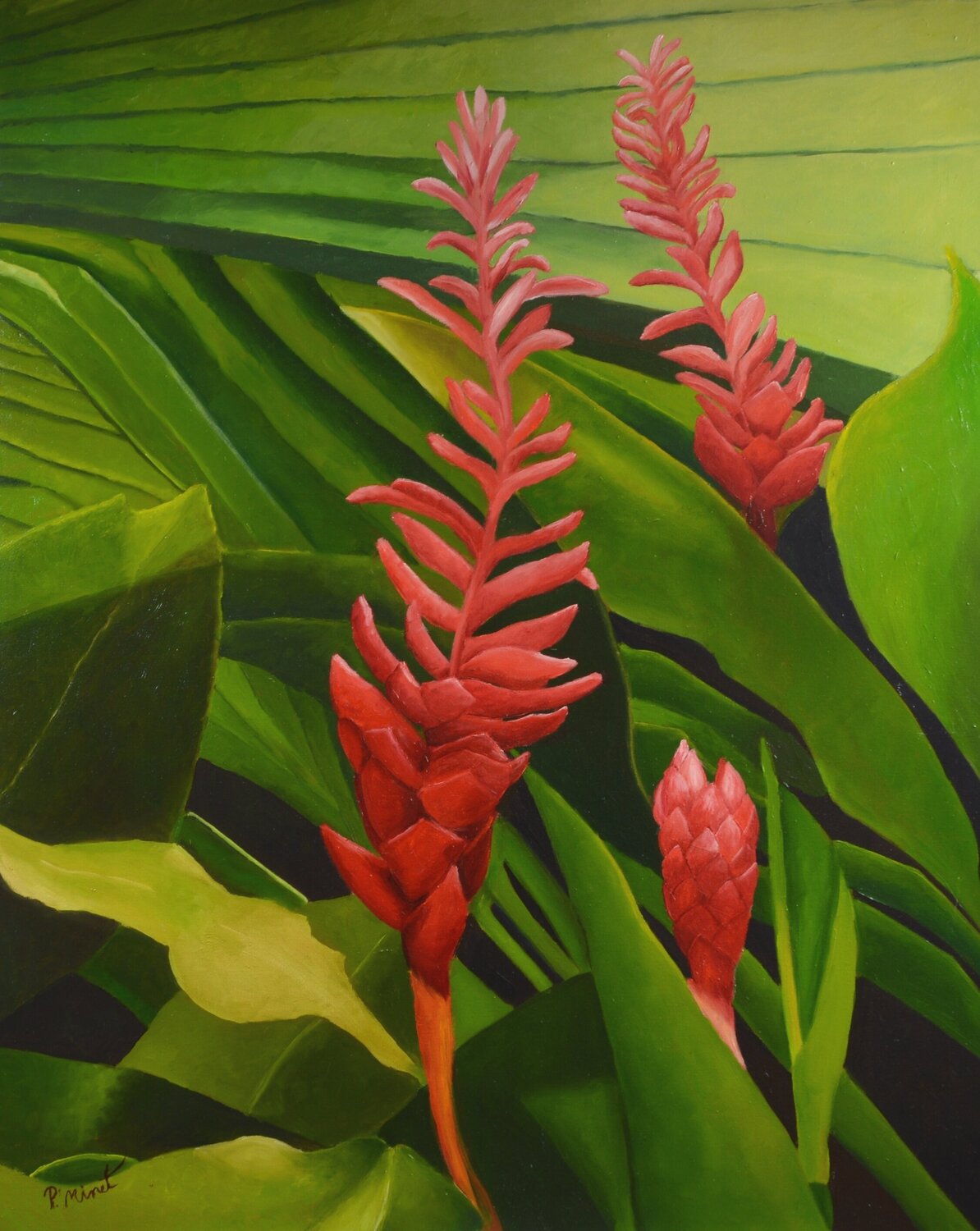 Ginger PETRA MINET