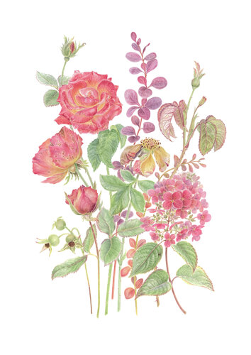 Autumn bouquet.  original watercolor botanical illustration on 100% cotton paper. Flowers van Olga Akimtseva, Schilderij te koop op Singulart
