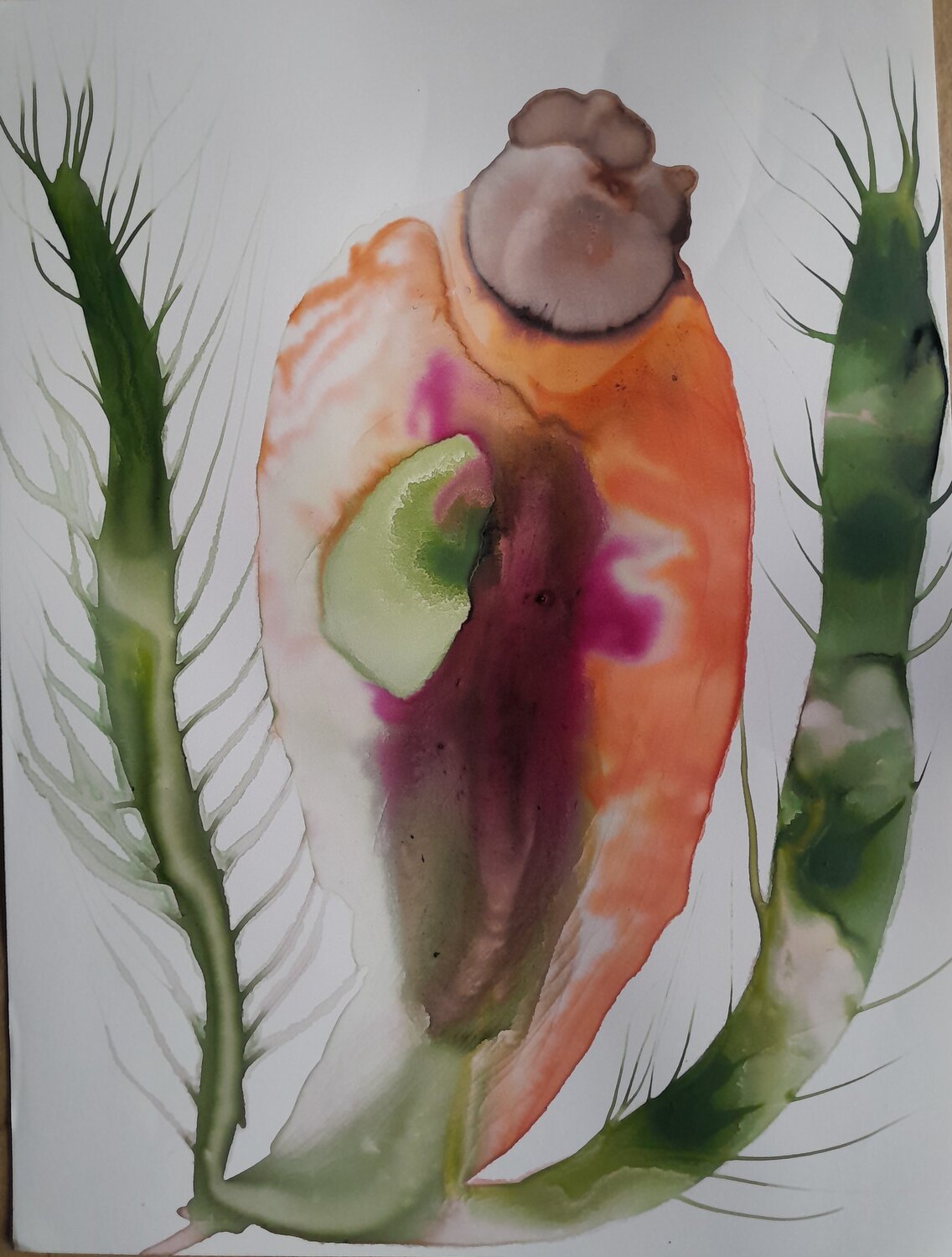 Blumige Kaktee Melanie Schelberg