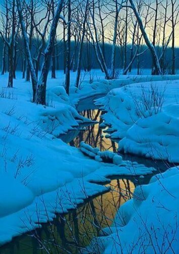 FOREST SPLENDOR par Alexei Butyrskiy, Édition en vente sur Singulart