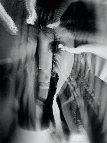 Grief Without Ceremony van Sahar Vatanz, Fotografie te koop op Singulart