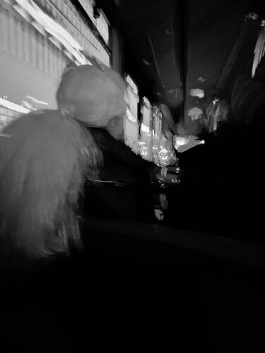 The last seat, di Sahar Vatanz, Fotografia in vendita su Singulart