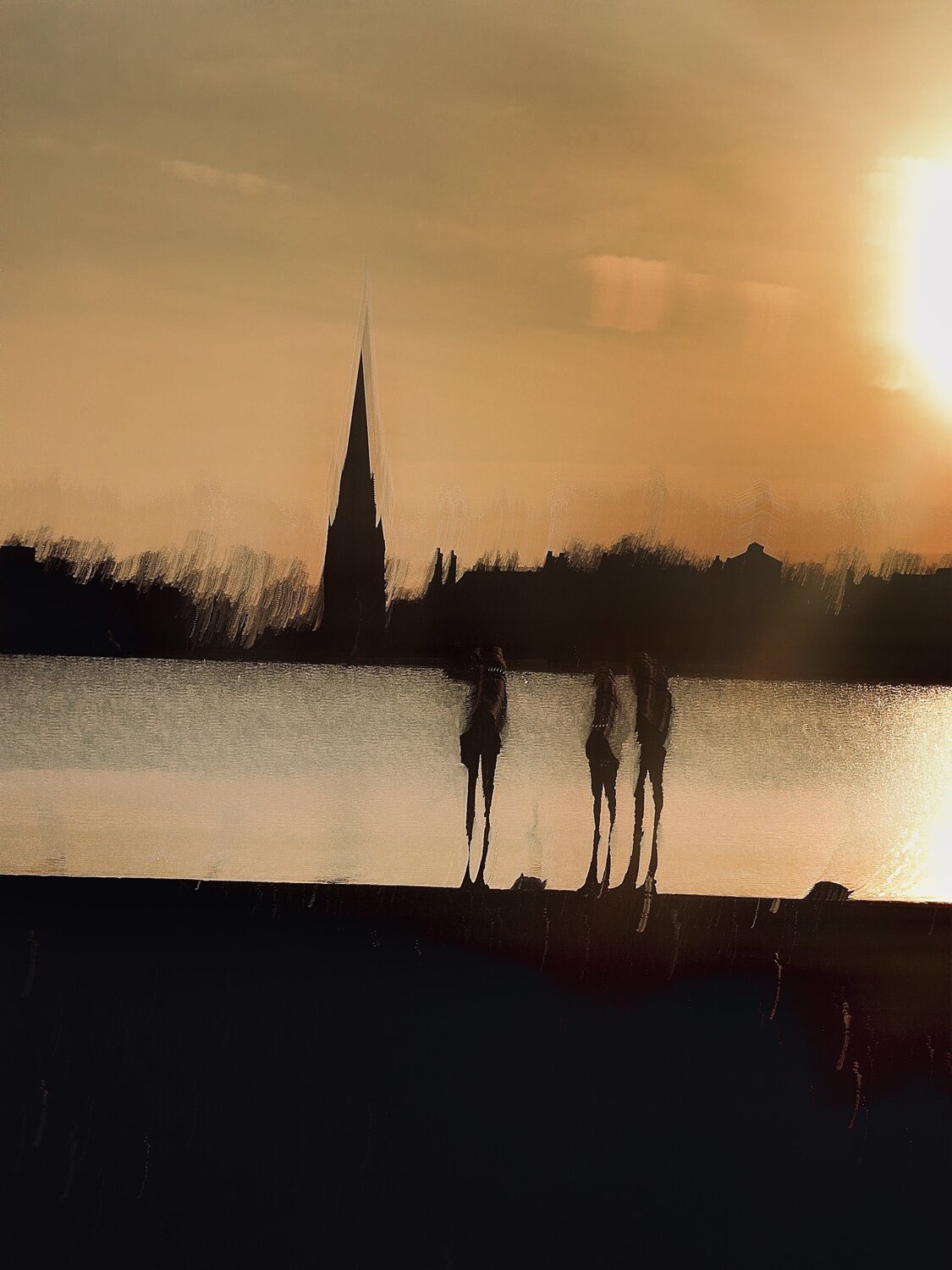 The last hooray Sahar Vatanz