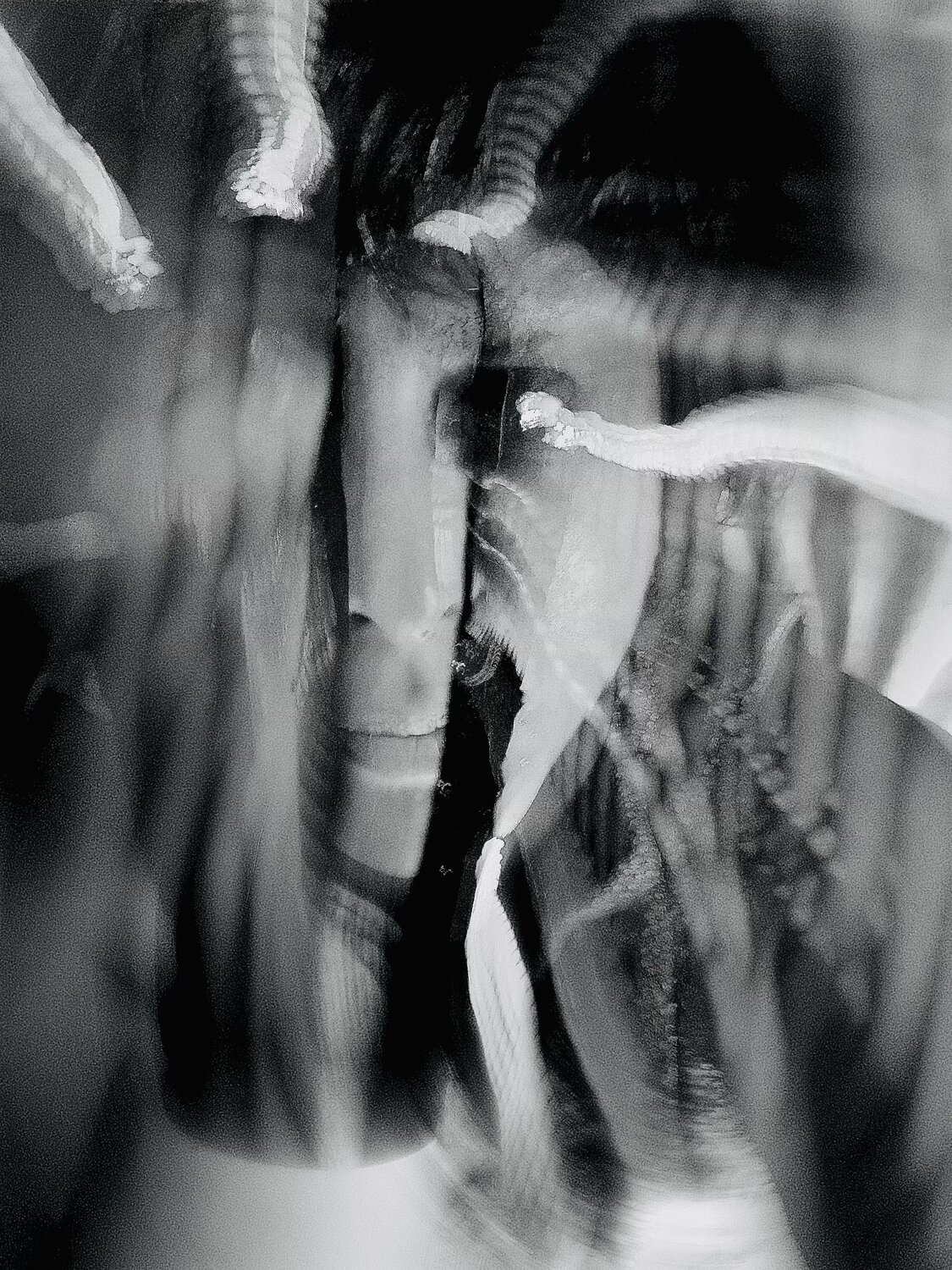 Grief Without Ceremony Sahar Vatanz