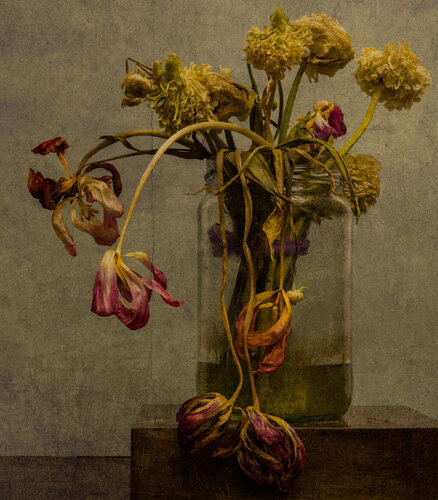 Memento Mori I van Giovanni Maria Sacco, Fotografie te koop op Singulart