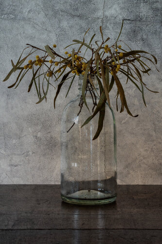 Memento Mori III par Giovanni Maria Sacco, Photographie en vente sur Singulart