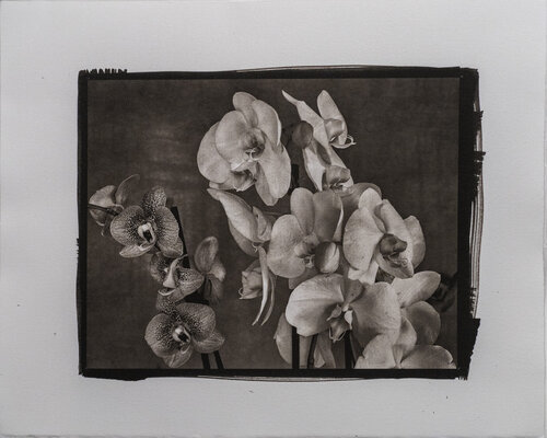 PLATINUM PALLADIUM - STILL LIFE #1 de Giovanni Maria Sacco, Fotografía a la venta en Singulart