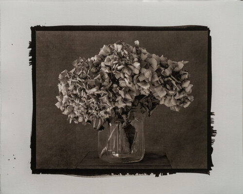 PLATINUM PALLADIUM - STILL LIFE #4 by Giovanni Maria Sacco, Photography for Sale on Singulart