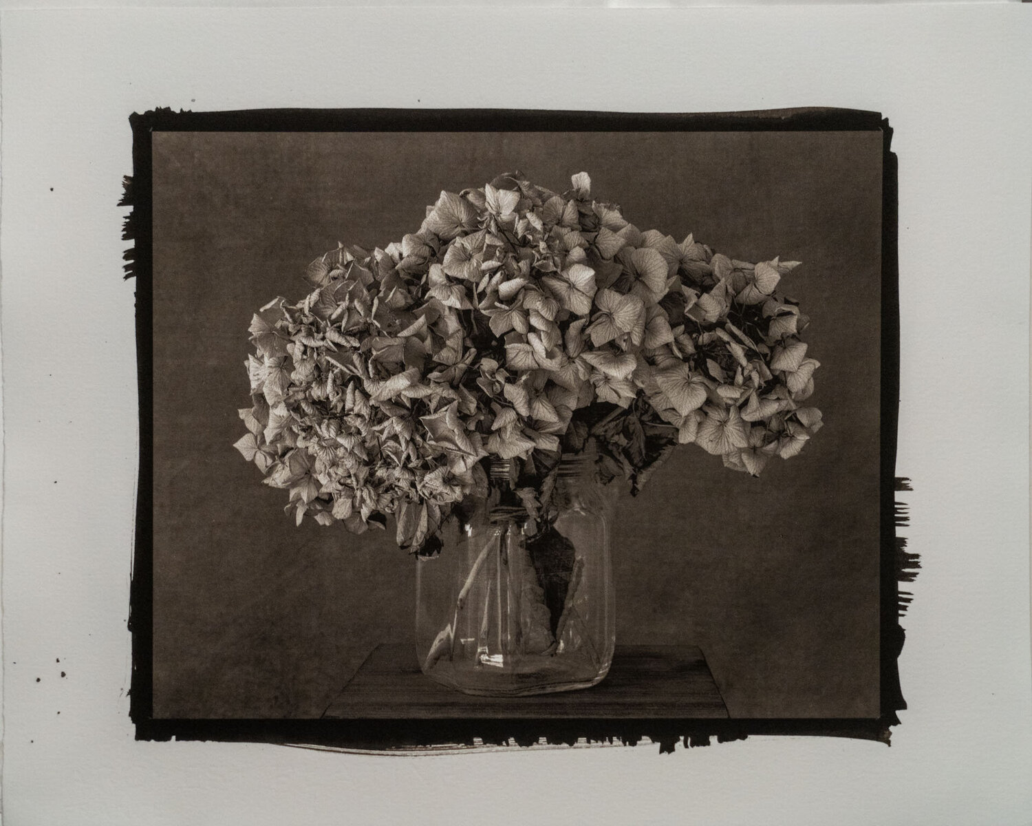 PLATINUM PALLADIUM - STILL LIFE #4 Giovanni Maria Sacco Fotografie zu verkaufen