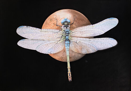 Libelle auf dem Mars van Marc Häberlin, Schilderij te koop op Singulart