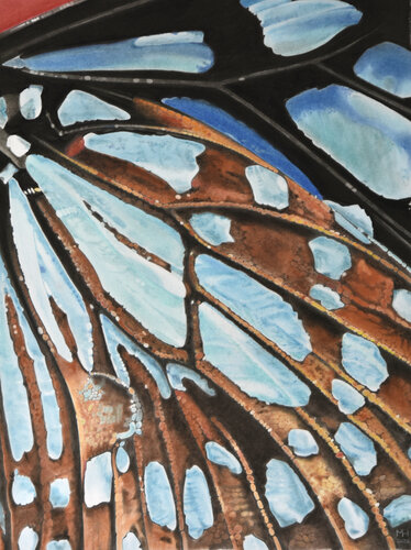 Blauer Schmetterling de Marc Häberlin, Pintura a la venta en Singulart