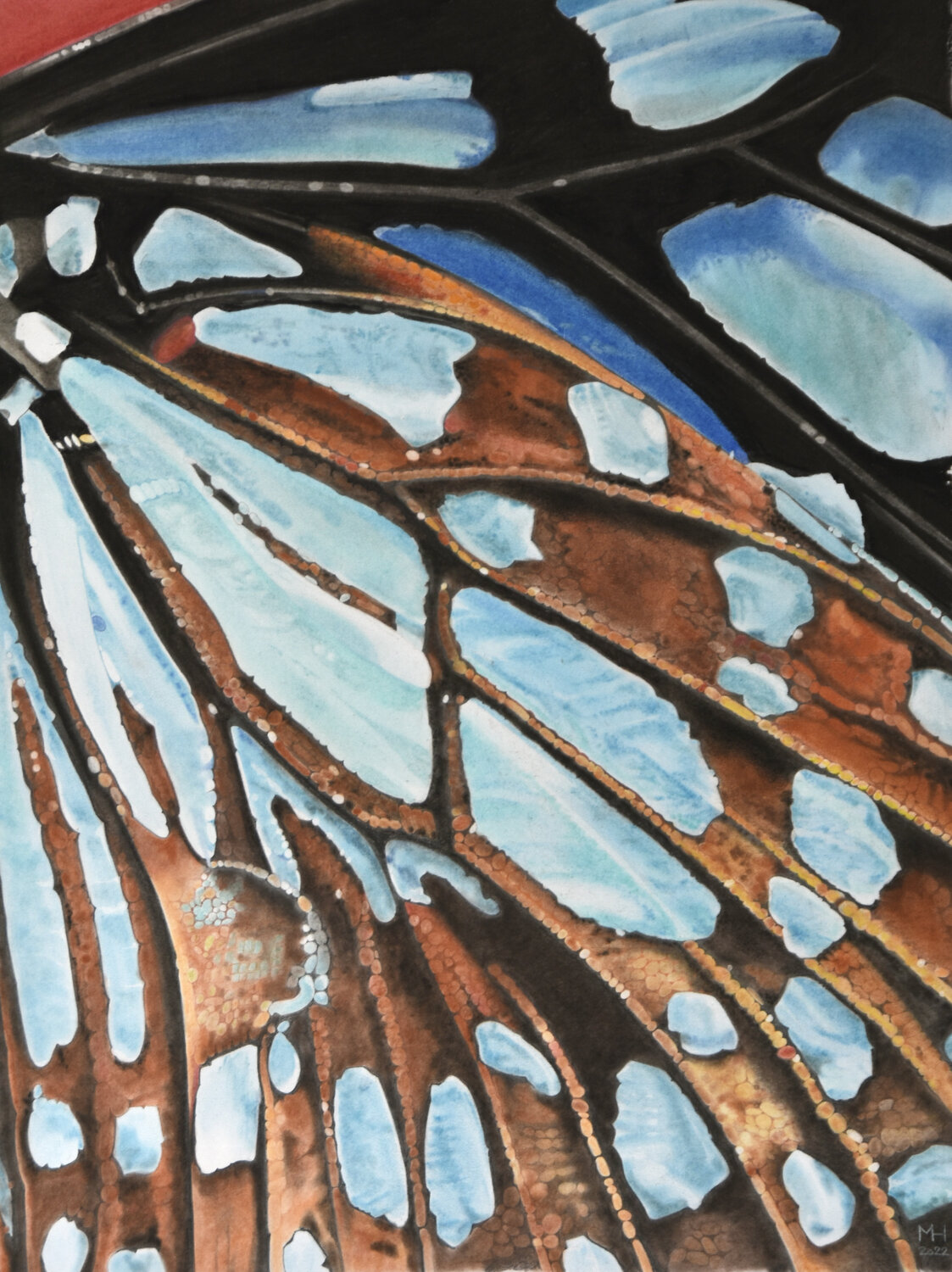 Blauer Schmetterling Marc Häberlin