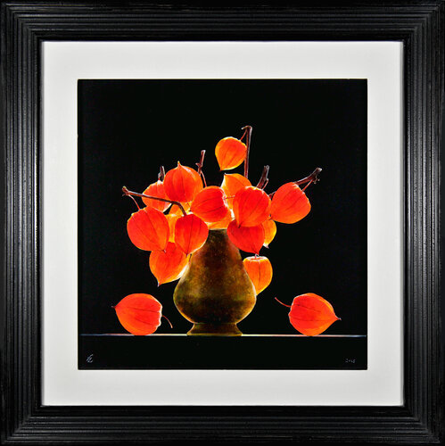 Alchechengi von Ottorino De Lucchi, Malerei kaufen auf Singulart