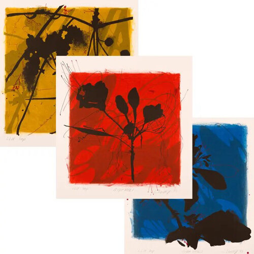 Night Walk Set of 3 (Natural Structures, Shifting Daylight) van Susan Davidoff, Afdruk te koop op Singulart