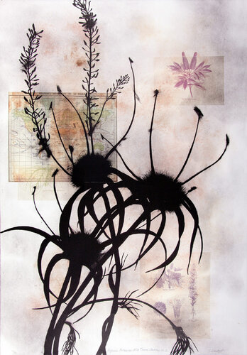 Regiones Botanicas de la Tierra: Antilles No. 2 (Antilles, Botanical Art, Botanical Exploration) von Susan Davidoff, Druck kaufen auf Singulart