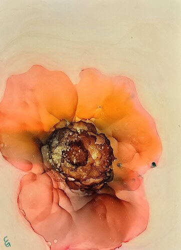 ANEMONE (Orange flower) di Elena Gozunova, Disegno in vendita su Singulart