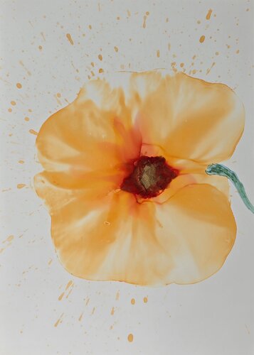 Bloom in the Gaze #13 (Solar Pulse) van Elena Gozunova, Werk op papier te koop op Singulart