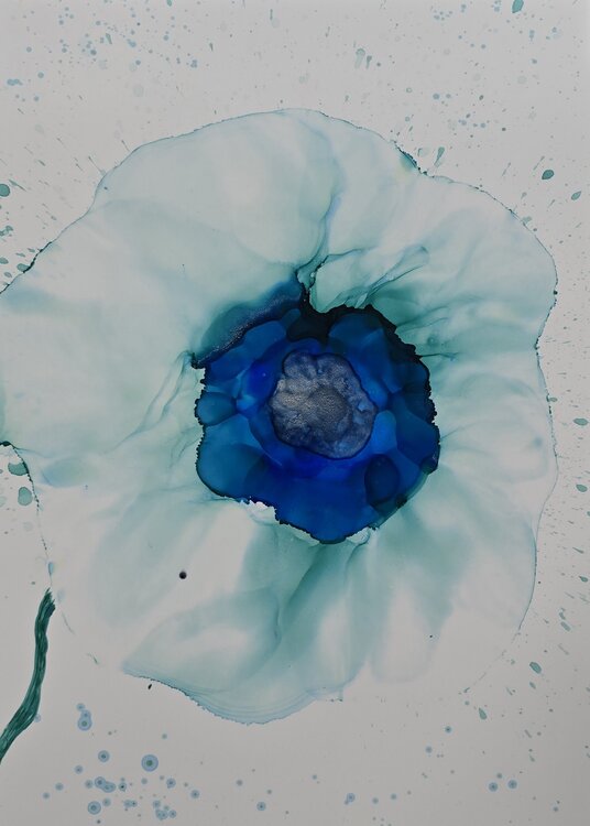 Bloom in the Gaze #17 (Mint Anemone) Elena Gozunova