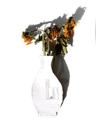 Cardboard, Flower von Kazanovsky, Fotografie kaufen auf Singulart