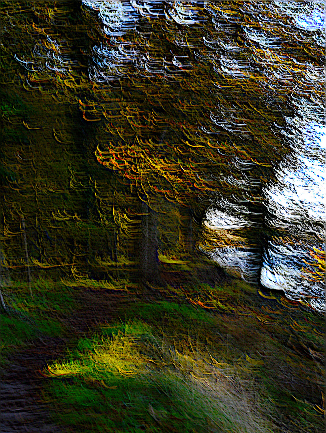 SECONDE NATURE #01 Gilles Sabard