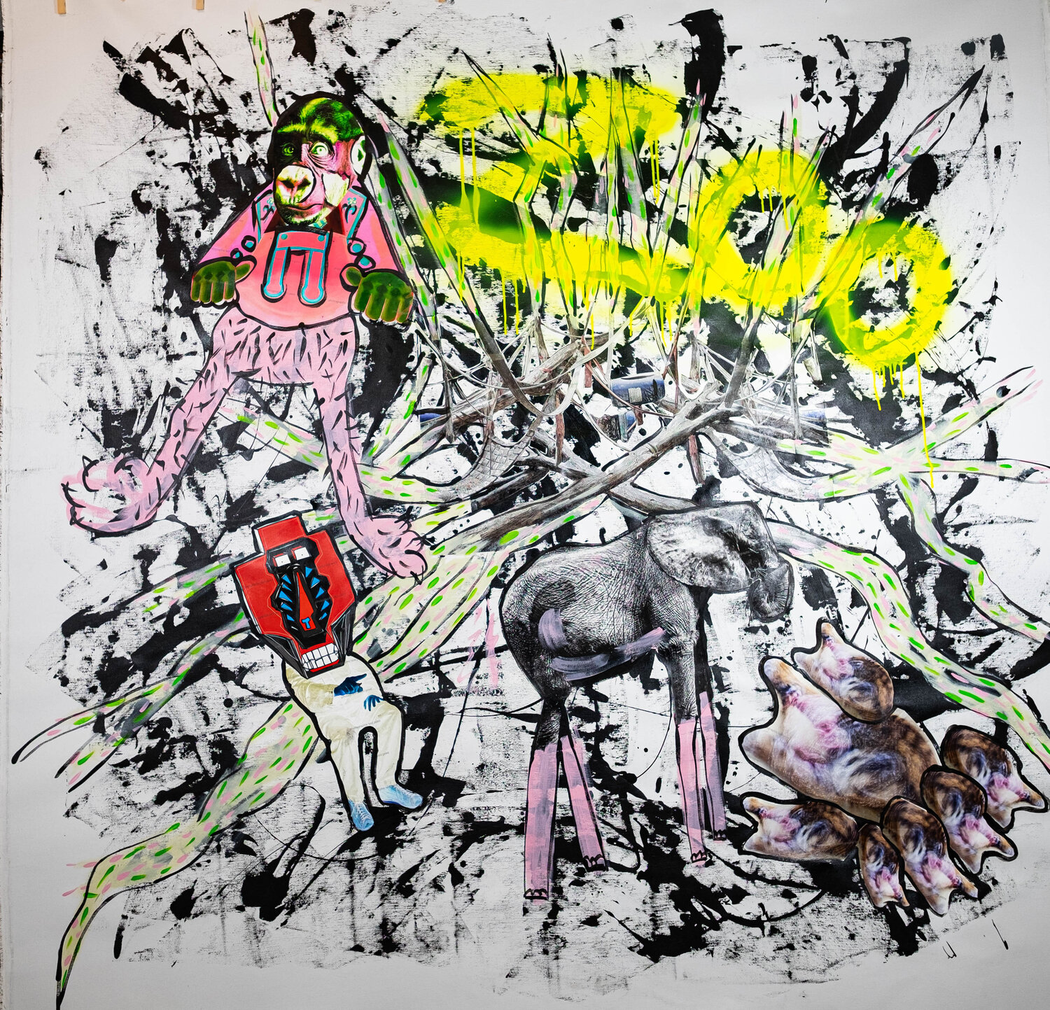 Zoo Thomas Kelm