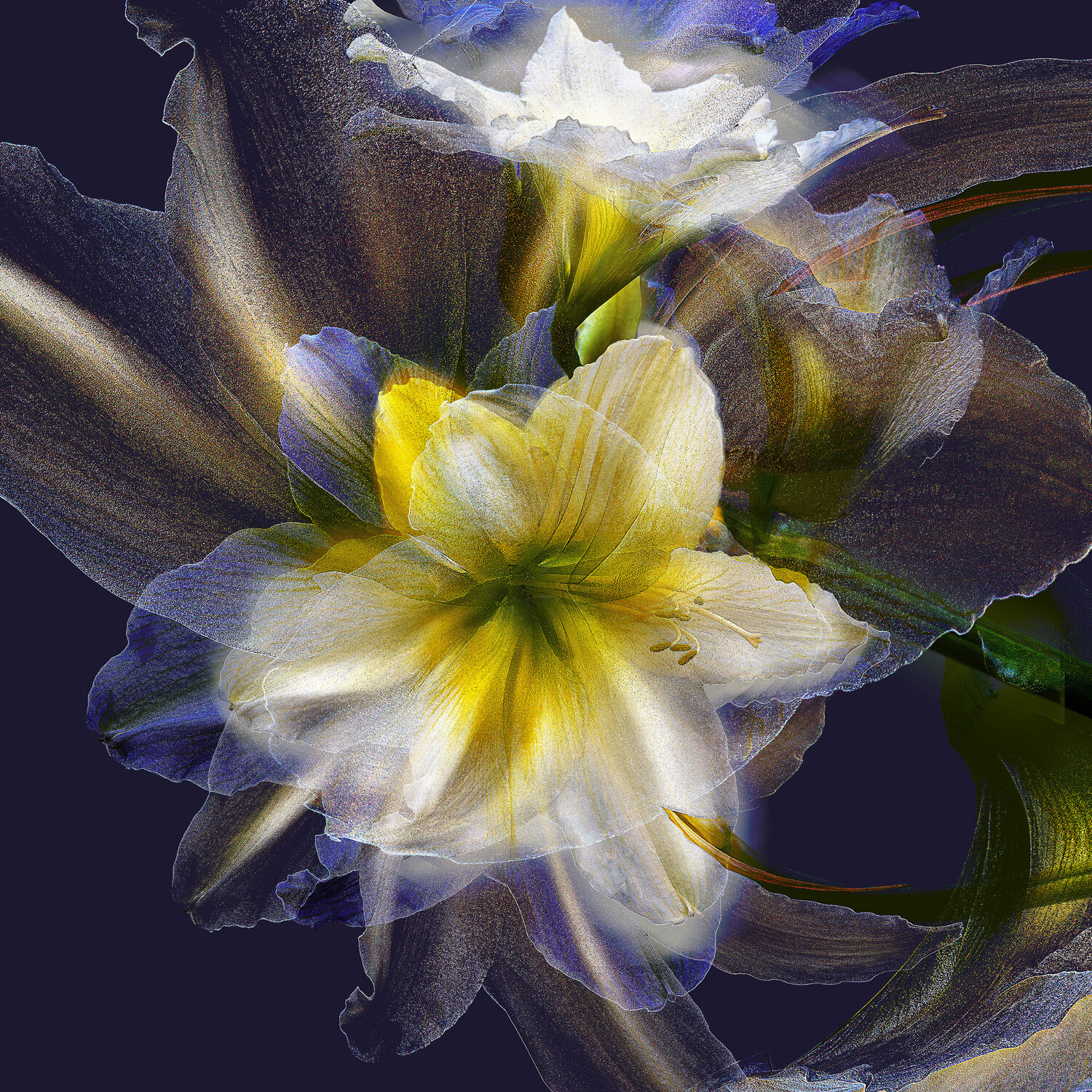 Ama 2 Dark Blue Jens-Christian Wittig