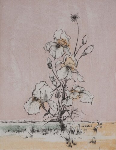 Carline des Alpes par Bernard Louedin, Édition en vente sur Singulart