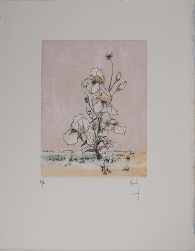 Carline des Alpes by Bernard Louedin, Print for Sale on Singulart