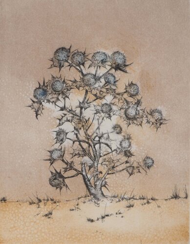 Le bouquet de chardon par Bernard Louedin, Édition en vente sur Singulart