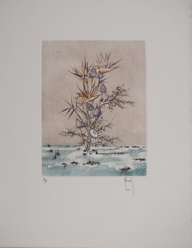 Fleurs exotiques : Oiseaux du paradis enneigés par Bernard Louedin, Édition en vente sur Singulart