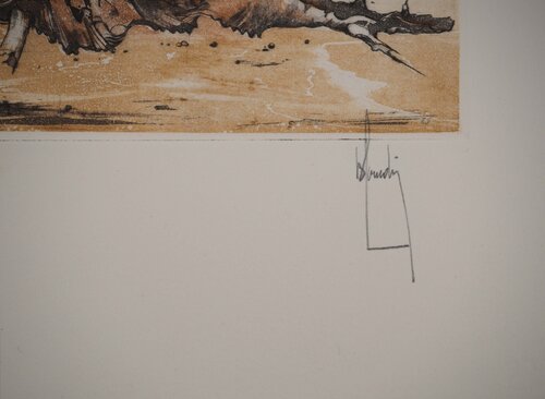 Coquillage par Bernard Louedin, Édition en vente sur Singulart