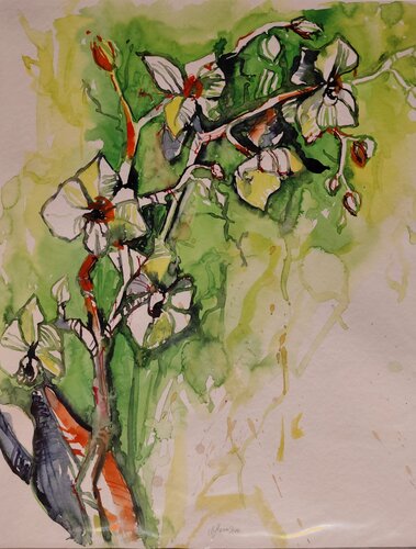 „Grünes Erwachen“ Orchidee van Michaela Petra Sturm, Schilderij te koop op Singulart