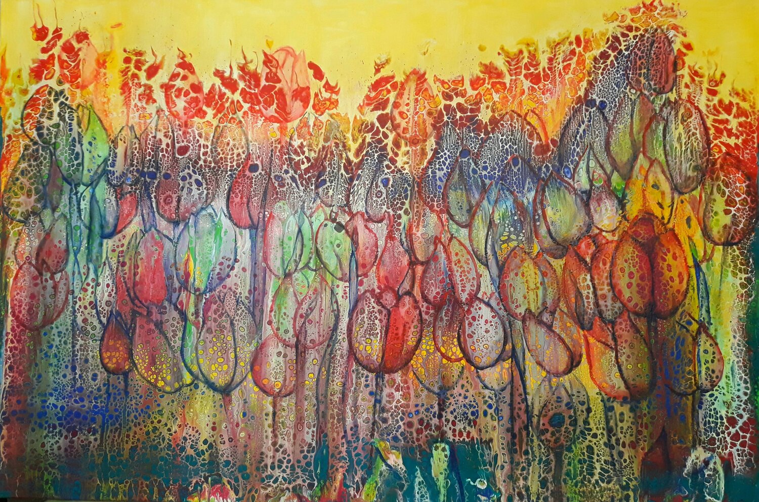 Tulpen Michaela Petra Sturm