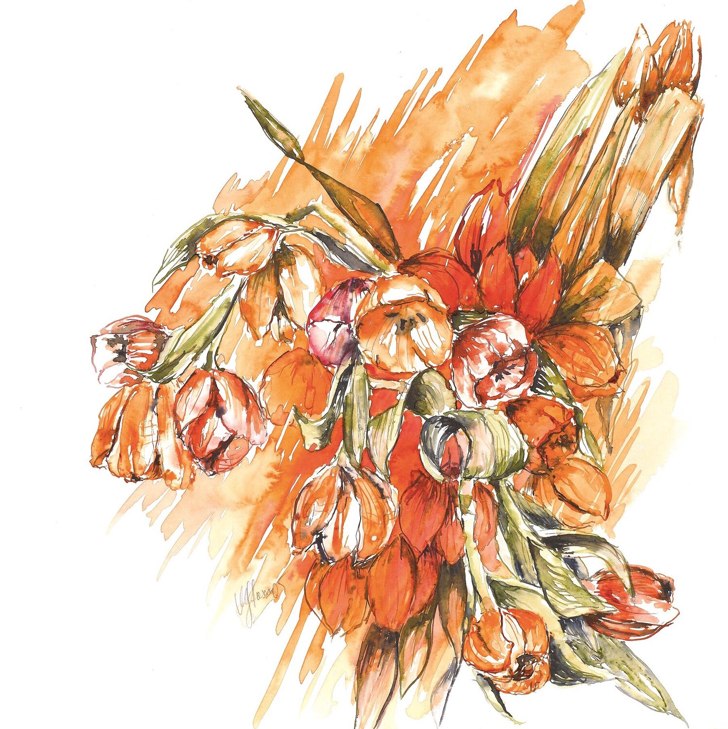 Tulpen zart Michaela Petra Sturm