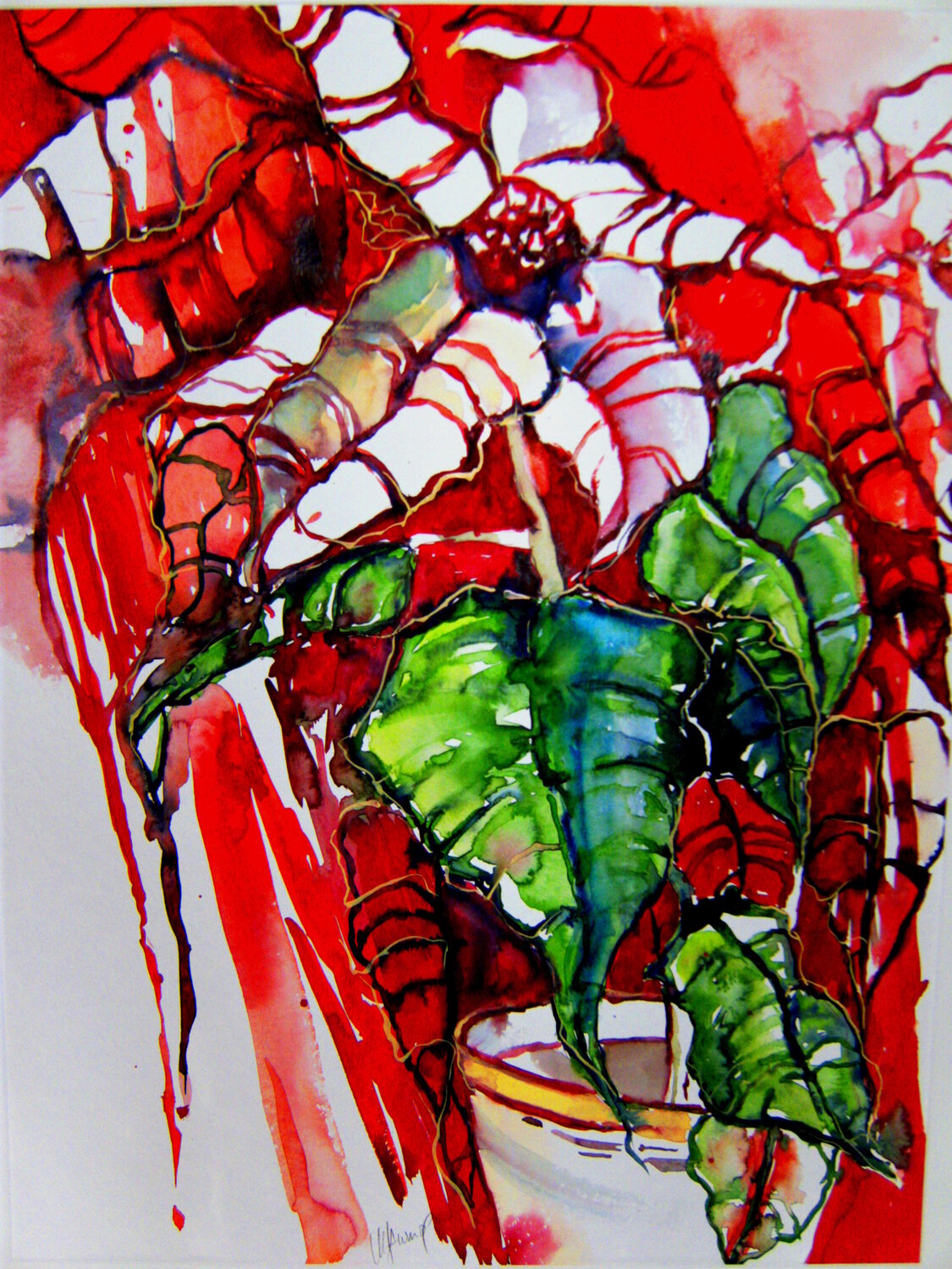 Weihnachtsstern Michaela Petra Sturm