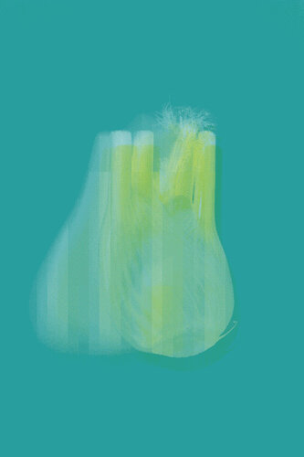 Fenchel von Vera Zimmermann, Digital kaufen auf Singulart