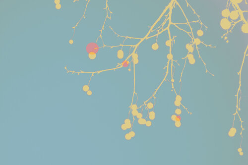 Struktur I - Grafik von Vera Zimmermann, Fotografie kaufen auf Singulart