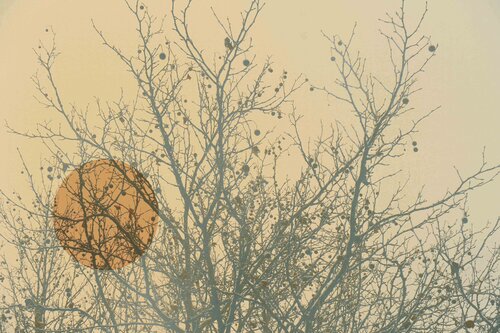 Strukturen III - Grafik von Vera Zimmermann, Fotografie kaufen auf Singulart