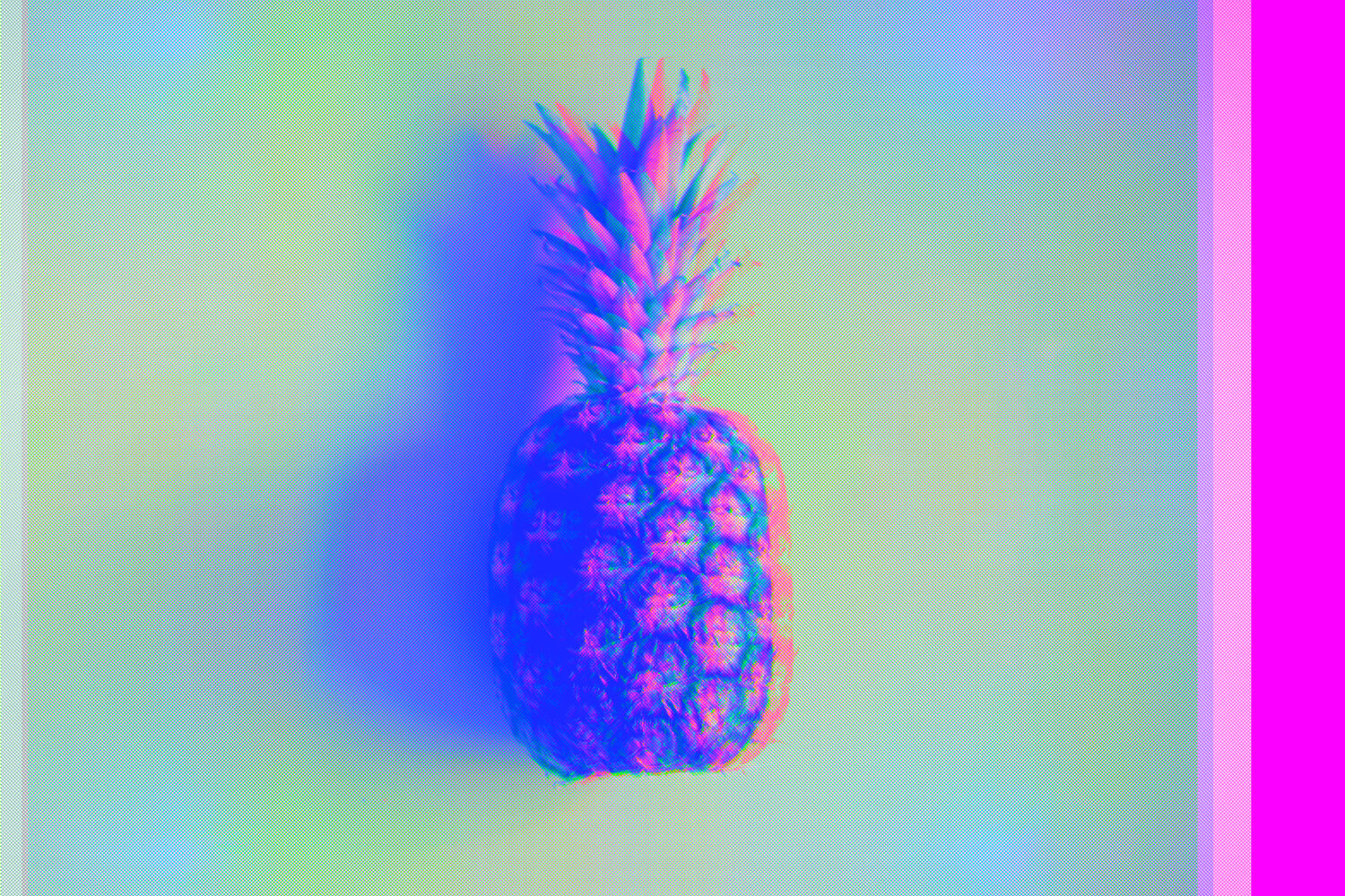 Ananas Vera Zimmermann