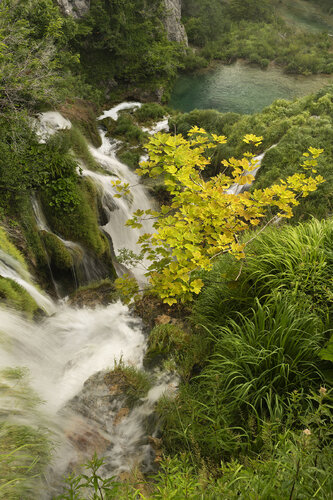 A Lone Tree Above Waterfall van Michael Lesiv, Fotografie te koop op Singulart