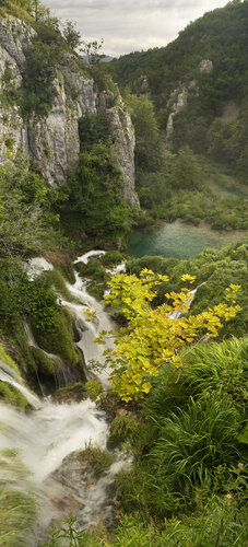 A Lone Tree Above Waterfall - The Plitvice Lake, Veliki Prstavac von Michael Lesiv, Fotografie kaufen auf Singulart
