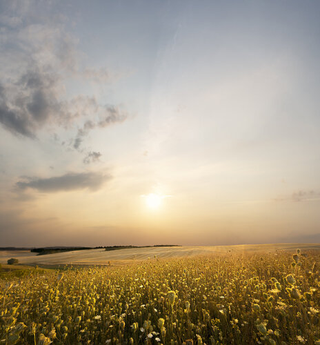 A Golden Sky van Michael Lesiv, Fotografie te koop op Singulart