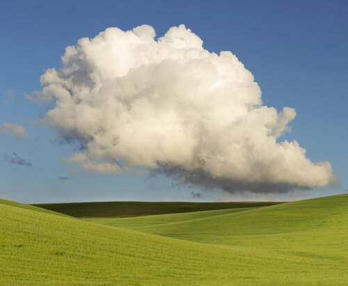 free like a bird #1 di Michael Lesiv, Fotografia in vendita su Singulart
